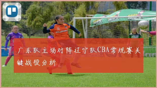 广东队主场对阵辽宁队CBA常规赛关键战役分析