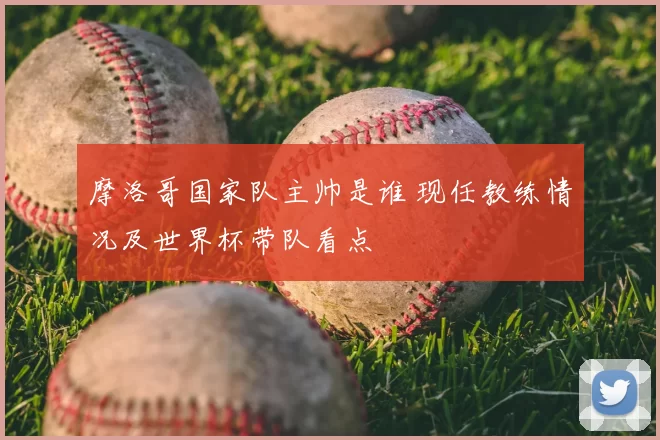 摩洛哥国家队主帅是谁 现任教练情况及世界杯带队看点