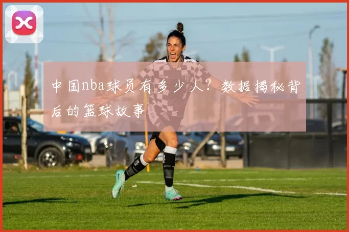 中国nba球员有多少人?数据揭秘背后的篮球故事