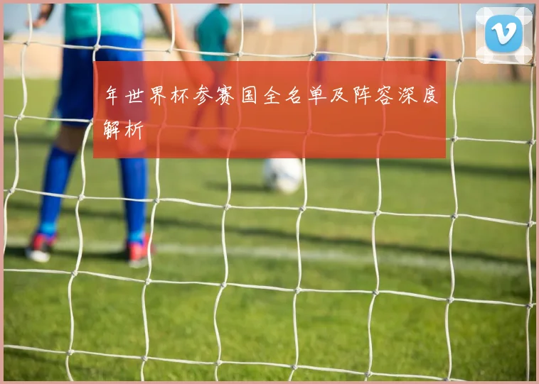 年世界杯参赛国全名单及阵容深度解析